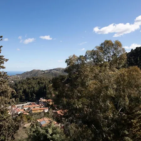 La Casa Nell'oliveto A San Martino Villa Monreale