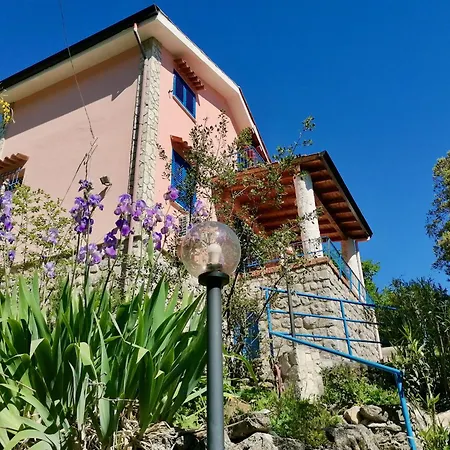 La Casa Nell'oliveto A San Martino