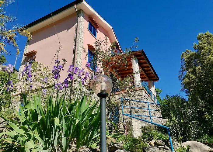 La Casa Nell'oliveto A San Martino